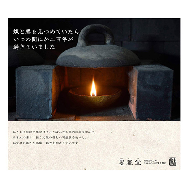 人気が高い 書道液 墨液 無上純黒 濃液 500ml 墨運堂 21超人気 Farmerscentre Com Ng