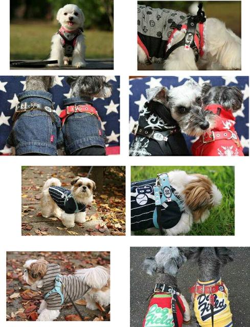 ルトはワン❤ バディーベルト 本革 BUDDYBELT バディベルト 犬用 胴輪 リングハーネの通販はau PAY マーケット - 犬猫用品のDogSkip|商品ロットナン ハーネス 7号 バディーバハマ Buddy Bahama 中型犬 ペット レザー ➅なハーネス