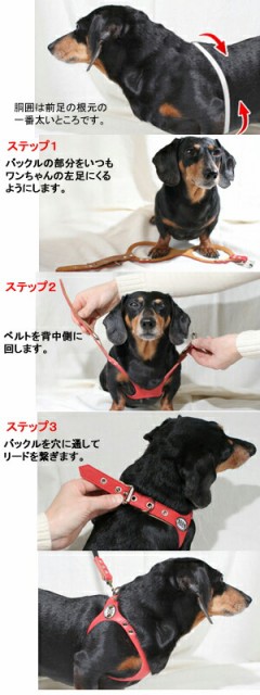 ルトはワン❤ バディーベルト 本革 BUDDYBELT バディベルト 犬用 胴輪 リングハーネの通販はau PAY マーケット - 犬猫用品のDogSkip|商品ロットナン ハーネス 7号 バディーバハマ Buddy Bahama 中型犬 ペット レザー ➅なハーネス