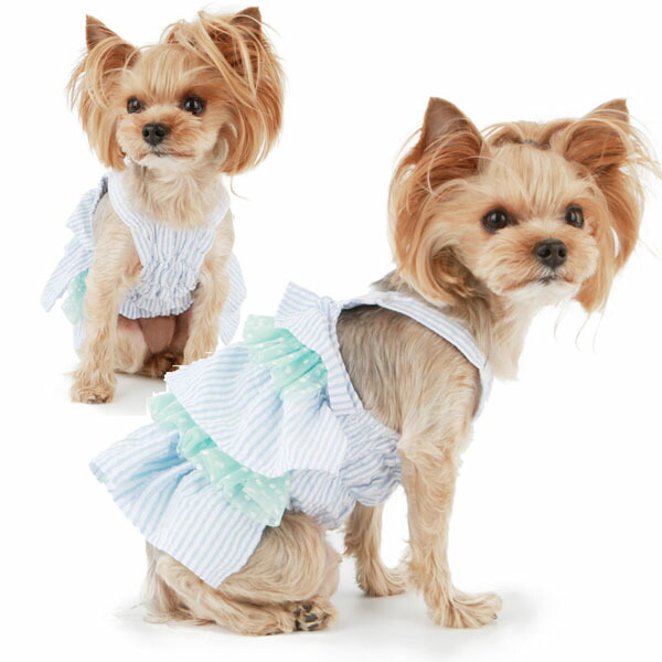 格安new 犬用 Puppy Angel R Snow Flower Cancan Dress S Sm M Ml L Xlサイズ パの通販はau Pay マーケット 犬猫用品のdogskip 商品ロットナンバー 492 Paパピーエンジェルスノウフラワーカンカンドレス ワンピース 人気豊富な