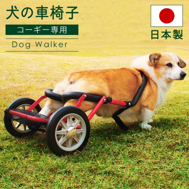 開店祝い 犬用車椅子 ドッグウォーカー 日本製 犬用補助輪 ペット用車イス ペット用車椅子 ペット用補助輪 保障できる Centrodeladultomayor Com Uy 開店祝い 犬用車椅子 ドッグウォーカー 日本製 犬用補助輪 ペット用車イス ペット用車椅子 ペット用補助輪 保障できる Centrodeladultomayor Com Uy