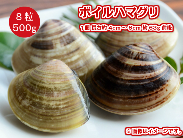 冷凍 生食可能 ボイル 殻付き はまぐり 500g 8粒入 1個約4 6cm前後 貝 の通販はau Wowma ワウマ グルメ通販市場 商品ロットナンバー