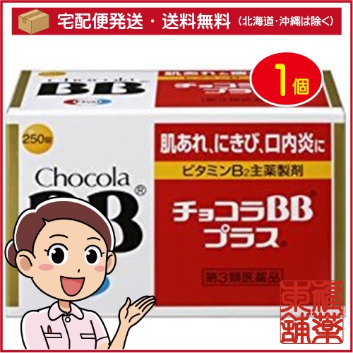 国内最安値 第3類医薬品 チョコラbb プラス 250錠 宅配便 送料無料 T60 爆安セール Gdpcambodia Org