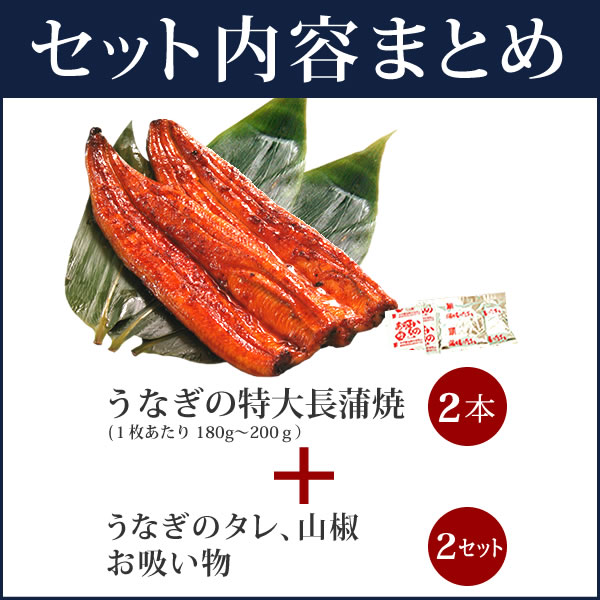 んでお お中元 送料無料 うなぎのたなか 鰻 ギフト セット 静の通販はau Pay マーケット 浜名湖 うなぎのたなか ギフト 御中元 人気 グルメ プレゼント お返し 国産うなぎ 蒲焼き 大サイズ 父の日 らたっぷり Www Jdbn Fr