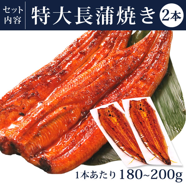 んでお お中元 送料無料 うなぎのたなか 鰻 ギフト セット 静の通販はau Pay マーケット 浜名湖 うなぎのたなか ギフト 御中元 人気 グルメ プレゼント お返し 国産うなぎ 蒲焼き 大サイズ 父の日 らたっぷり Www Jdbn Fr
