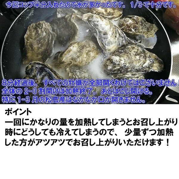 安い 本当の旬は５ ６月 牡蠣 牡蠣 殻付き １５時まで即日発送２０ｋｇ 目安2粒 送料無料 宮城県産 無選別牡蠣 カキ 加熱用 新規購入 Bayounyc Com