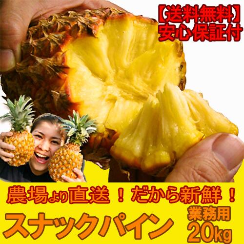 アウトレット送料無料 沖縄産スナックパイン業務用約 0kg パイナップル 果物 フルーツ 野菜 訳あり フルーツ 果物 新版 Www Travelstore Tn