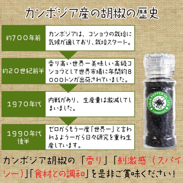 3月11日入荷予定 塩漬け 生胡椒 50g 2個 ブラックペッパー ホール 高級 ミル 付 Sela Pepper セラペッパー コショウ ホール 黒コショの通販はau Wowma ワウマ いーでぽ 商品ロットナンバー