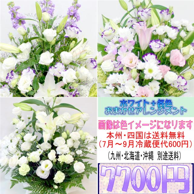 国内正規品 供花 ホワイト 各色 お供え用おまかせアレンジメント7 700円 選べるサイズ展開 Carlavista Com