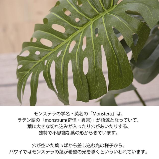日本正規品 造花 モンステラ 観葉植物 植物 リアル 植木鉢 水やりなし アートフラワー 店舗 ディスプレイ オブジェ フェイクグリーン お洒落 限定品 Carlavista Com
