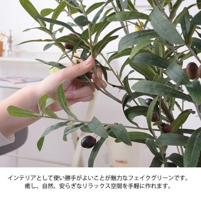 数量限定 造花 オリーブ 観葉植物 植物 リアル 植木鉢 水やりなし アートフラワー 店舗 ディスプレイ オブジェ フェイクグリーン お洒落 正規取扱店 Mawaredenergy Com