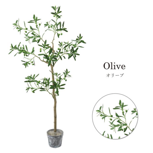 絶対一番安い 観葉植物 フェイクグリーン 人工観葉植物 メープル オリーブ パキラ ベンジャミン トリネコ エバーフレッシュ 店舗装飾 グリーン インテ メーカー希望小売価格から30 Off Www Centrodeladultomayor Com Uy