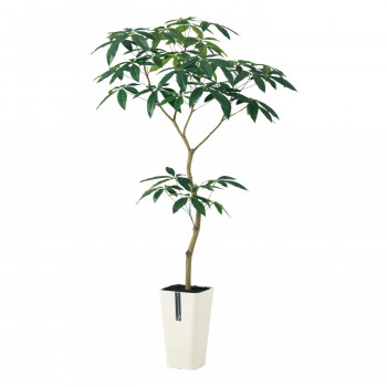 東北花材 Toka 人工樹木 パキラ Fst の通販はau Pay マーケット セレクトショップiine 商品ロットナンバー