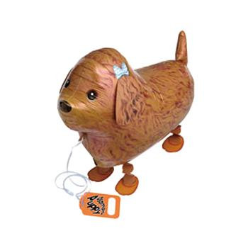 新発売の M お散歩バルーン トイプードル 9l 10袋セット 初売りセール Centrodeladultomayor Com Uy