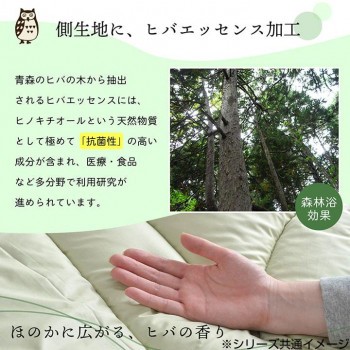 安い超特価 日本製 抗菌 防臭 防ダニ 掛け布団(単品) リーフ シングルロング 約150×210cm 6702609 の通販はau PAY マーケット - COCO-LIFE|商品ロットナンバー:506433375 新品特価