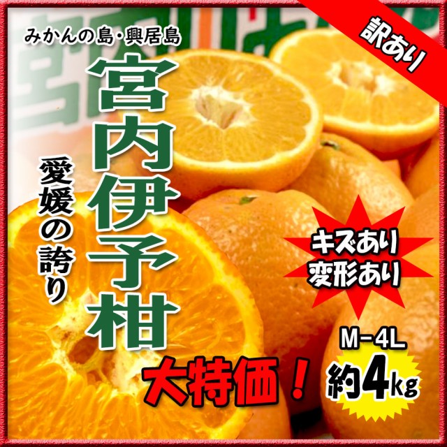 伊予柑 箱買い 訳あり 宮内伊予柑 興居島産 いよかん 宮内いよかん M 4l 約4ｋｇ 送料無料の通販はau Pay マーケット ベジろう 商品ロットナンバー