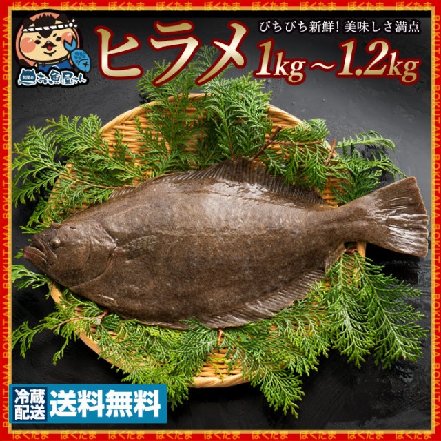 絶賛レビュー続出 ヒラメ ひらめ 生 1尾 約1kg 1 2kg 冷蔵 送料無料 神経抜き 鮮魚 平目 魚 刺身 グルメ 海産物 決算特価 送料無料 Centrodeladultomayor Com Uy