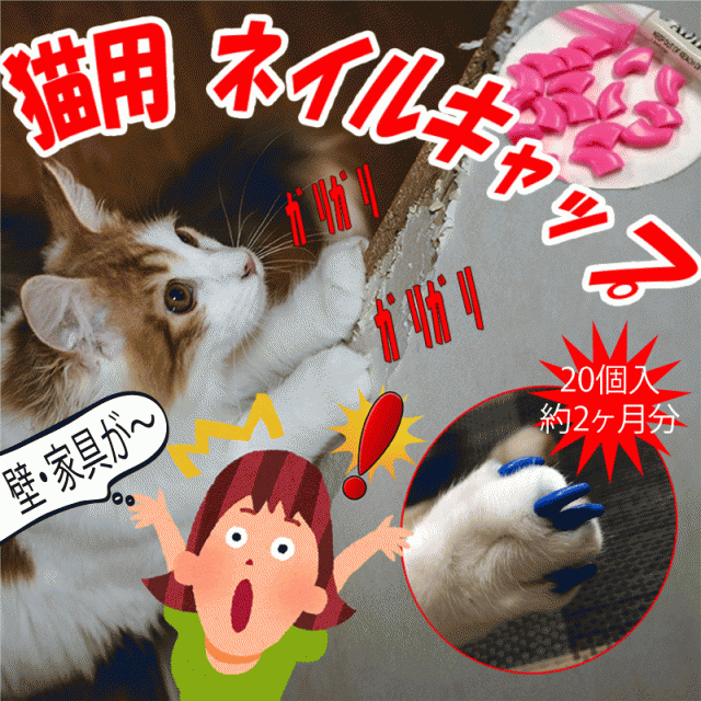 最高 50 猫 ネイルキャップ 美しいネイルトレンド