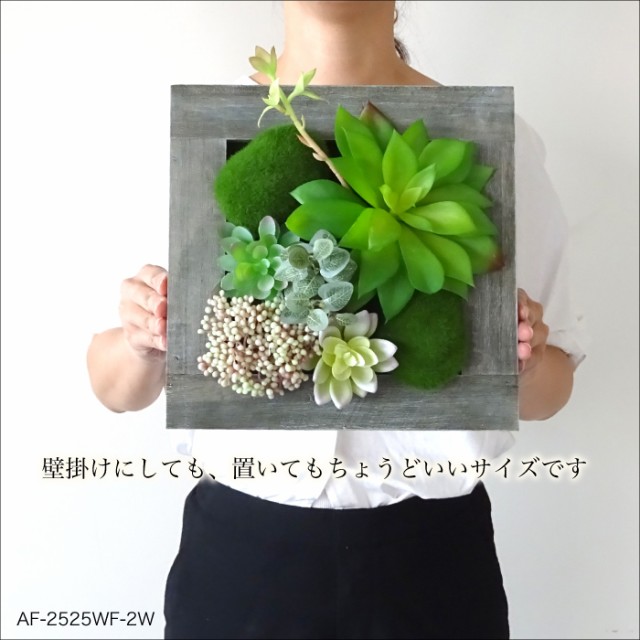 おすすめ フェイクグリーン 多肉植物 造花 フレーム 壁 インテリア ウォールフラワーシリーズ 2w 限定セール Farmerscentre Com Ng