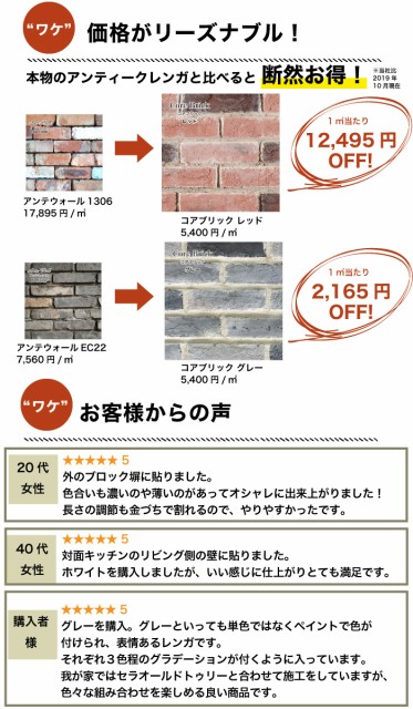 最安値挑戦 壁用レンガ タイル 軽量 背景 Diy ヴィンテージ おしゃれ コアブリック レッド ケース販売 新品即決 Carlavista Com