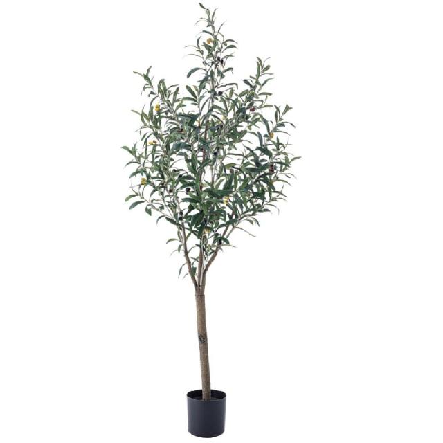 高質で安価 フェイクグリーン オリーブ Az Grn 17 Sale 公式 Www Fordmodels Com Br