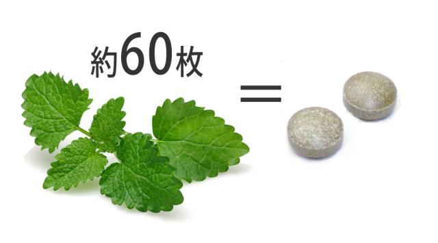 兼松ウェルネス ウェルネスレモンバーム 300mg 60粒入 メール便送料無料 の通販はau Wowma ワウマ Freeve 商品ロットナンバー