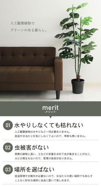 最安 人工 観葉植物 高さ 152cm 7号鉢対応 フェイクグリーン スプリット 人工 造花 フェイク グリーン シンプル オフィス おしゃれ 観葉 植物 楽天 Olsonesq Com