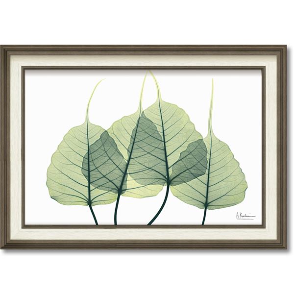 高級感 デジタルプリント X Ray キャンバスアートboxフレーム M リーフ3 ホビー 画材 絵具 額縁 Tp 新発売の Olsonesq Com