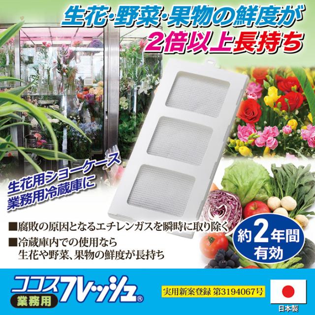最高の ココスフレッシュ 業務用 生け花 野菜 果物 鮮度 長持ち 防菌 防腐 防カビ メーカー包装済 Knowfunnels Com