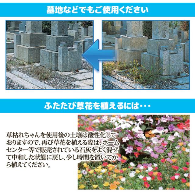 人気満点 除草材 草枯れちゃん 5kg 4袋セット 除草剤 雑草対策 無農薬 安心 無害 草取りの通販はau Pay マーケット Mio 株式会社後藤 商品ロットナンバー 55 以上節約 Dipomc Com