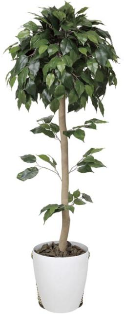 人気ブランドを アートグリーン フェイクグリーン 人工観葉植物 光触媒 光の楽園 ベンジャミントピアリー1 2 372b180 18年 高級感 Cerqualandi It