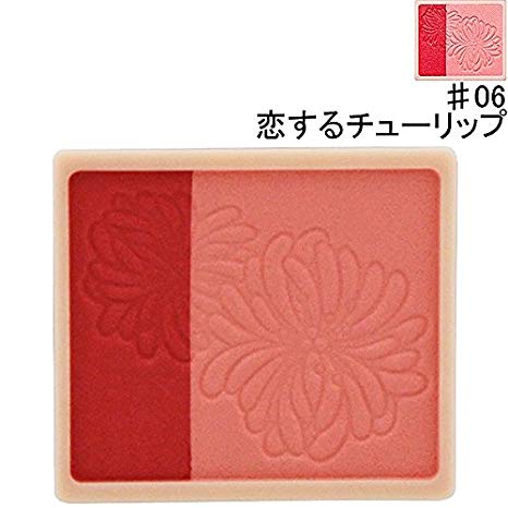 翌日発送 Paul Joe ポールアンドジョーパウダーブラッシュ 06恋するチューリップ 詰め替え用 チークカラー 並行輸入の通販はau Pay マーケット 化粧屋 商品ロットナンバー