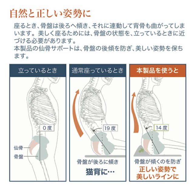 速達メール便 送料無料 仙骨サポート座布団 尻楽クッション モカ 魅力的な Carlavista Com