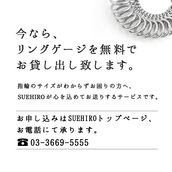 日本製人気 ファイテン Phiten チタン ブレスレット チタン レディースの通販はau PAY マーケット - SUEHIRO｜商品ロットナンバー：274830446 超歓迎人気