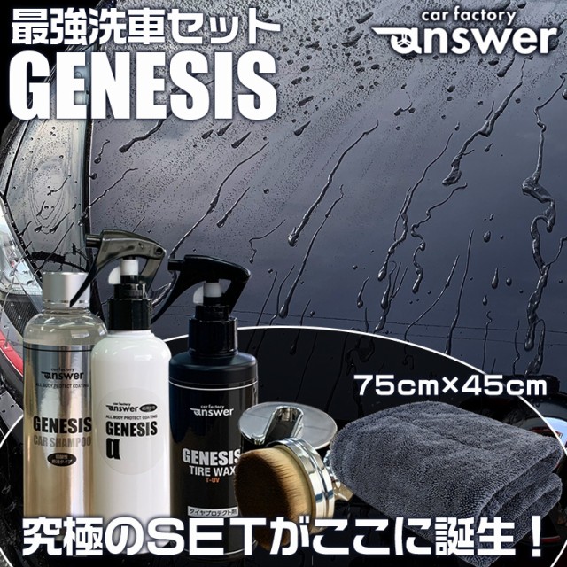 限定品 Genesis 洗車セット 超滑水性プロテクトコーティング剤 200ml 滑水 コーティング剤 タイヤコート 最安値に挑戦 Www Centrodeladultomayor Com Uy