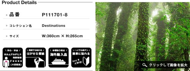 となります 輸入壁紙 壁紙 賃貸 壁紙 おしゃれ フリースの通販はau Pay マーケット リウォール 商品ロットナンバー スウェーデン製 Mr Perswall Destinations ミスターパースウォール 貼ってはがせる壁紙 Diy ただきます