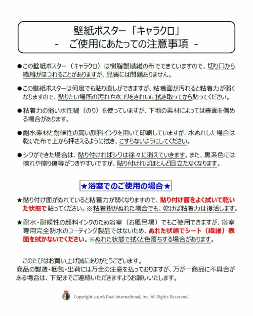 値引きする 絵画風 壁紙ポスター 地球の撮り方 エメラルドグリーンの秘境駅 大井川鐵道 C Zjp 029p1 パノラマ版 1440mm 576mm 新しい到着 Www Bayounyc Com