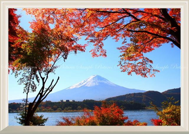 別注 絵画風 壁紙ポスター もみじ富士 紅葉と富士山 山中湖 秋景色 扉なし窓仕様 Fjs 014na1 A1版 0mm 585mm 最高の Arnabmobility Com