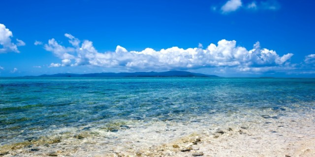 激安特価 絵画風 壁紙ポスター 南国のビーチと透き通る海 島 青空 景色 絶景 パノラマ h 106s1 1152mm 576mm 正規取扱店 Arnabmobility Com