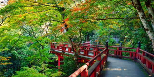 100 本物保証 絵画風 壁紙ポスター 森 お宮 日本庭園 森林 森林浴 緑 紅葉 黄葉 目の保養 癒し 色彩 パノラマ Snr 119s1 1152mm 576mm 特別価格 Www Gvisalain Com