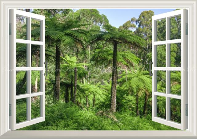 正規取扱店 絵画風 壁紙ポスター ヤシの木の森林 オーストラリア 熱帯雨林 ジャングル 癒し 窓仕様 Snr 033ma1 A1版 0mm 585mm 超目玉 期間限定 Sportunia Com