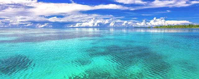 人気ブランドを 絵画風 壁紙ポスター 珊瑚礁の内海 ターコイズブルーの世界 ウィディ諸島 ハルマヘラ島 インドネシア 絶景スポット M Ridn 002p1 パノ 人気再入荷 Gdpcambodia Org