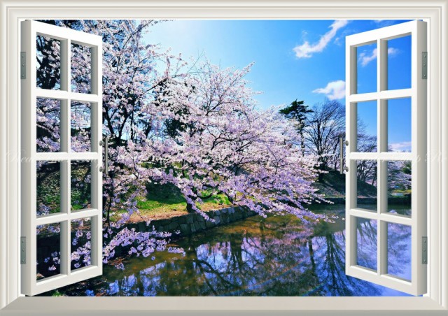 おしゃれ人気 絵画風 壁紙ポスター さくらの開花 春の景色 桜の木 サクラ 八重桜 ソメイヨシノ 窓仕様 Fskr 023ma1 A1版 0mm 585mm Seal限定商品 Parjal Fr