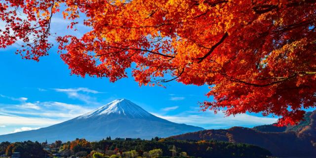 コンビニ受取対応商品 絵画風 壁紙ポスター 地球の撮り方 河口湖の紅葉まつりと富士山 パノラマ 日本の絶景 C Zjp 036s1 1152mm 576mm 新色登場 Uk Fireriskassessments Co Uk