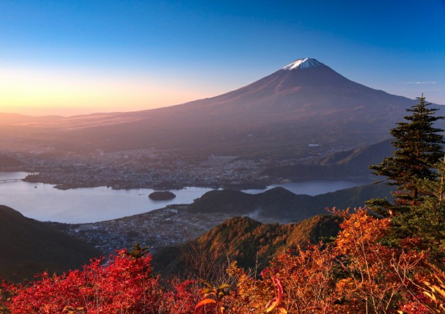 50 Off 絵画風 壁紙ポスター 地球の撮り方 新道峠からの富士山と河口湖 紅葉 夕焼け 日本の絶景 C Zjp 037a1 A1版 0mm 585mm 値引 Vacsa Mx