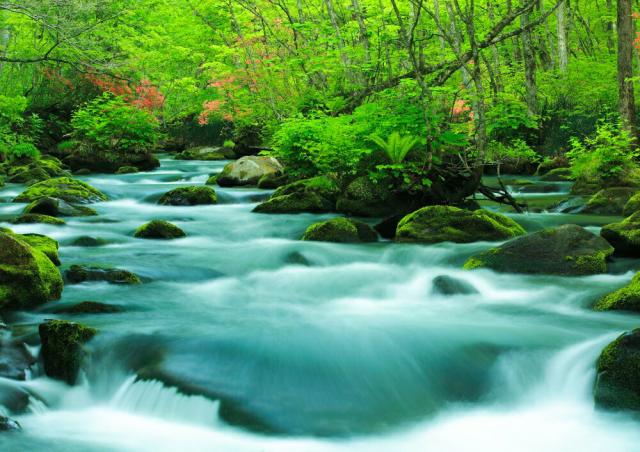 当店人気の限定モデルが再々々入荷 絵画風 壁紙ポスター 地球の撮り方 ツツジ映える新緑の奥入瀬渓流 青森県十和田市 日本の絶景 C Zjp 047a1 A1版 0mm 585mm 海外最新 Arnabmobility Com