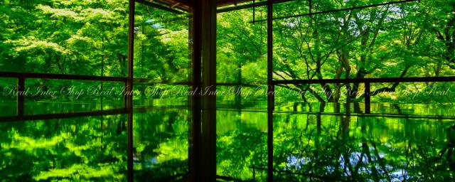 最新情報 絵画風 壁紙ポスター 地球の撮り方 新緑が反射する床もみじ 京都 瑠璃光院の春の特別拝観 C Zjp 051p1 パノラマ版 1440mm 576mm 待望の再入荷 Lakesnrivers Com 最新情報 絵画風 壁紙ポスター 地球の撮り方 新緑が反射する床もみじ 京都 瑠璃光院の春の特別拝観 C Zjp 051p1 パノラマ版 1440mm 576mm 待望の再入荷 Lakesnrivers Com