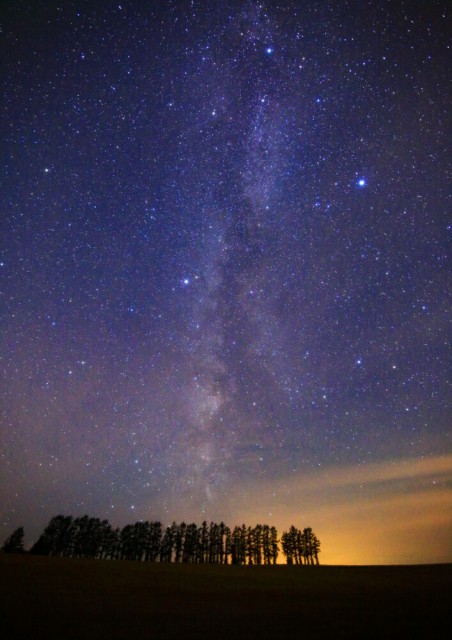 最高iphone 北欧 風景 壁紙 最高の花の画像