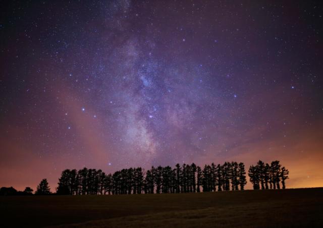 超特価激安 絵画風 壁紙ポスター 地球の撮り方 まるで北欧 美瑛町の風景 マイルドセブンの丘 北海道上川郡 C Zjp 059a1 A1版 0mm 585mm 全国宅配無料 Arnabmobility Com