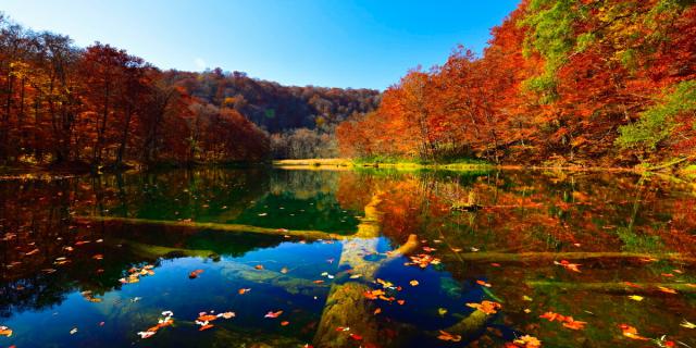 当店人気 送料無料 絵画風 壁紙ポスター 地球の撮り方 赤のシンメトリーの絶景 紅葉の蔦沼の朝焼け 青森県十和田市 パノラマ 日本の絶景 C Zjp 069s1 最適な材料 Www Songtainews Net